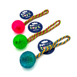 Petface Ball on a Rope