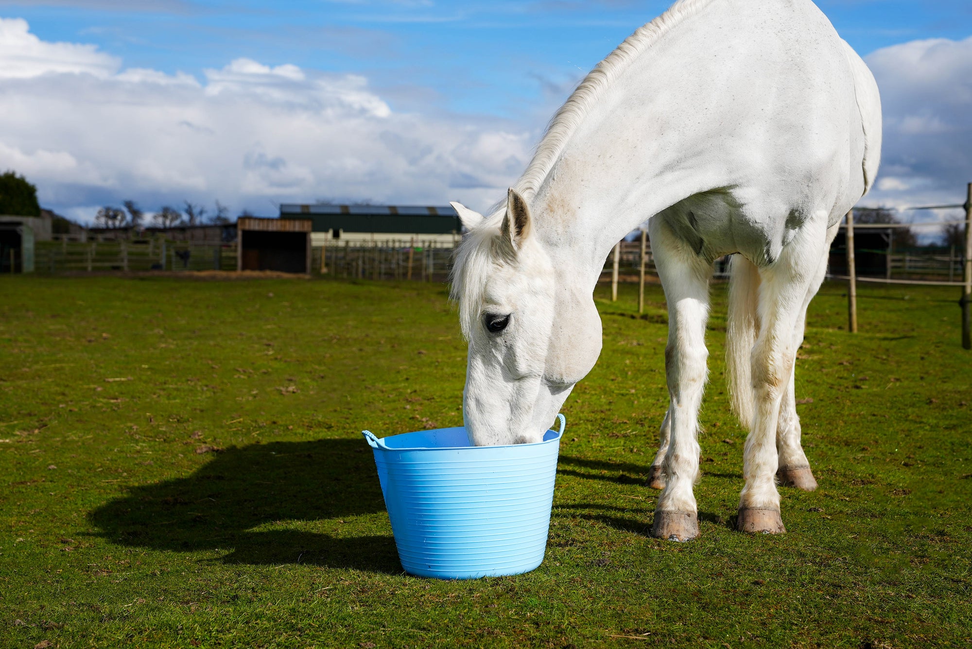 Extra Large Gorilla Tub® 75L – The Original Flexible & Weather Resistant Heavy-Duty Trug