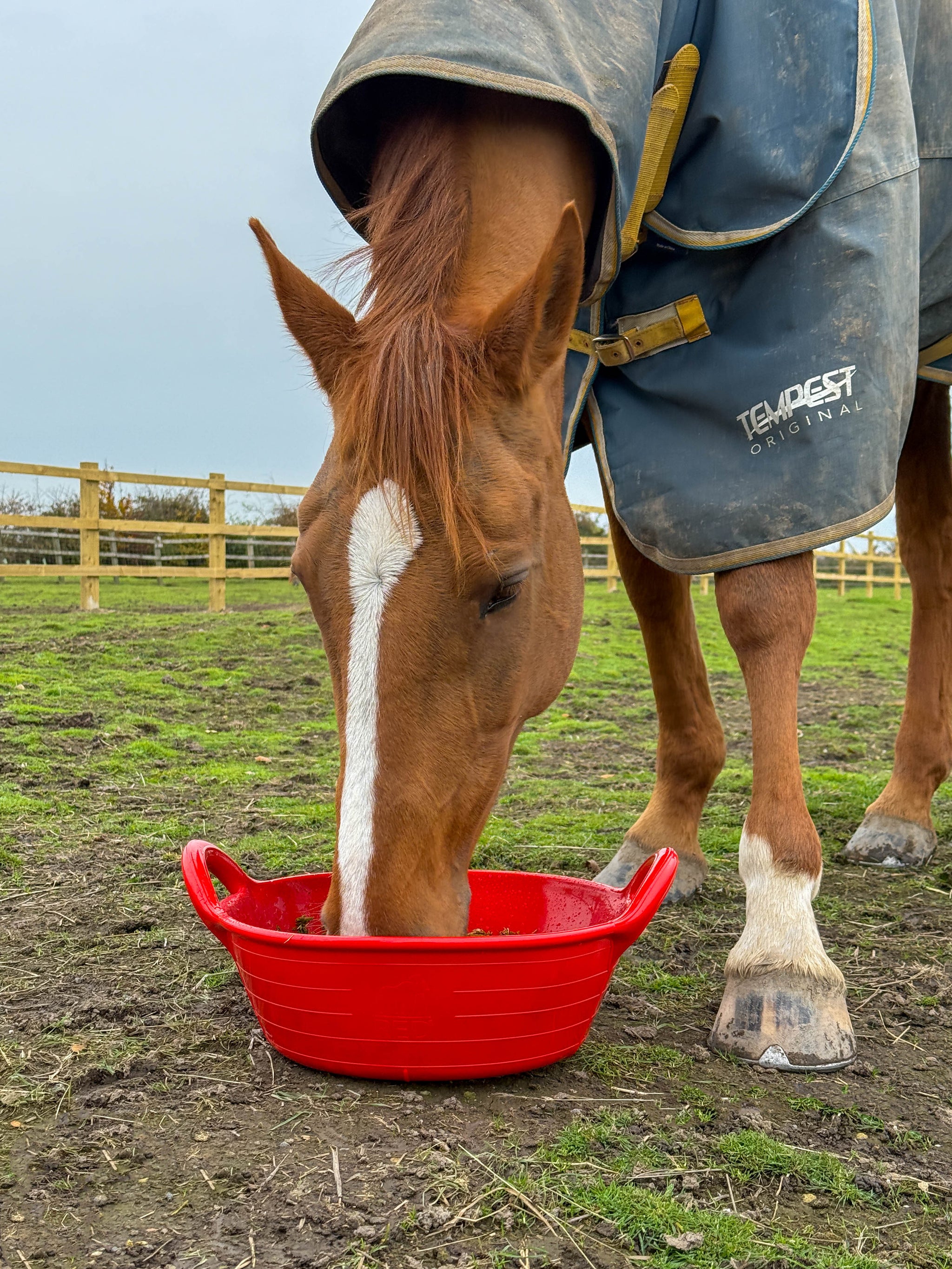 Gorilla Tub® Mini Shallow 5L Flexible Utility Tub