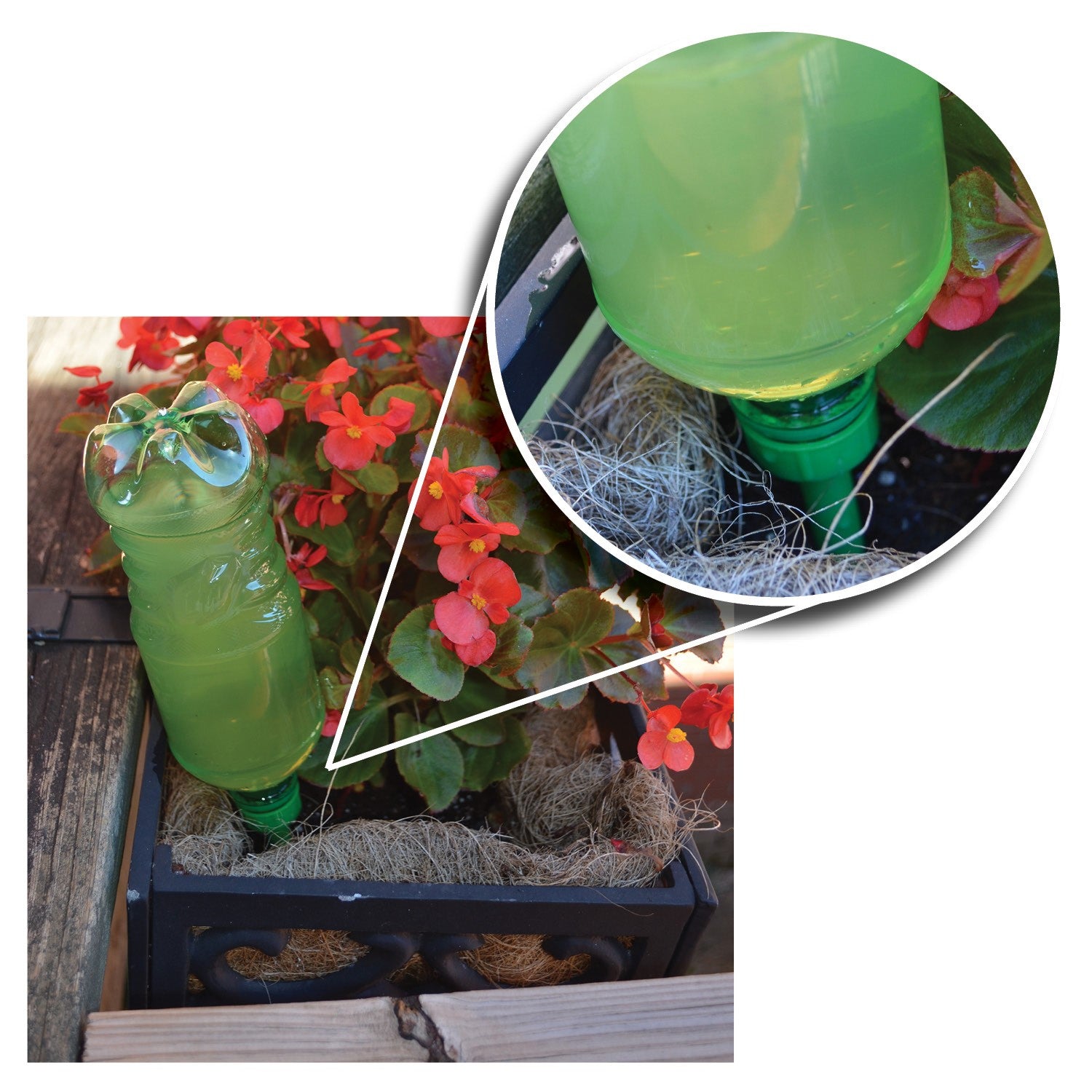 Mr. Evergreen Bottle Water Drink