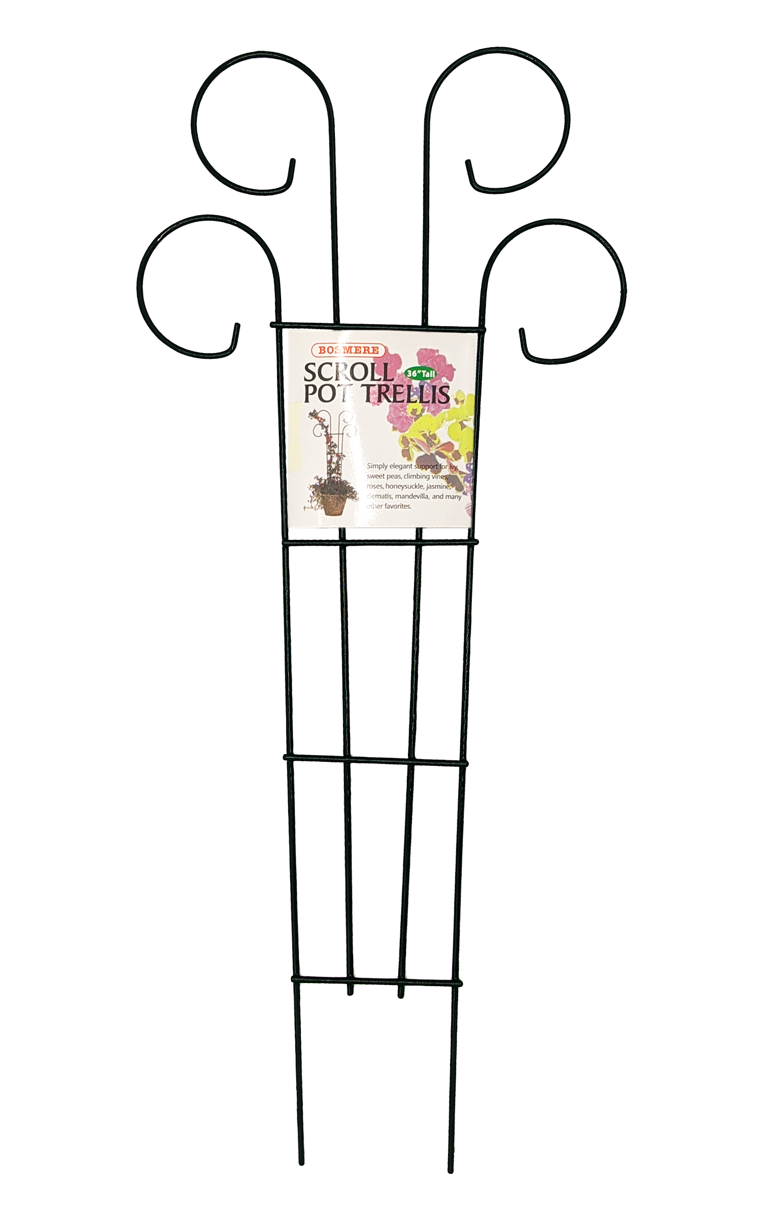 Houseplant Trellis- 36" Scroll Pot Trellis