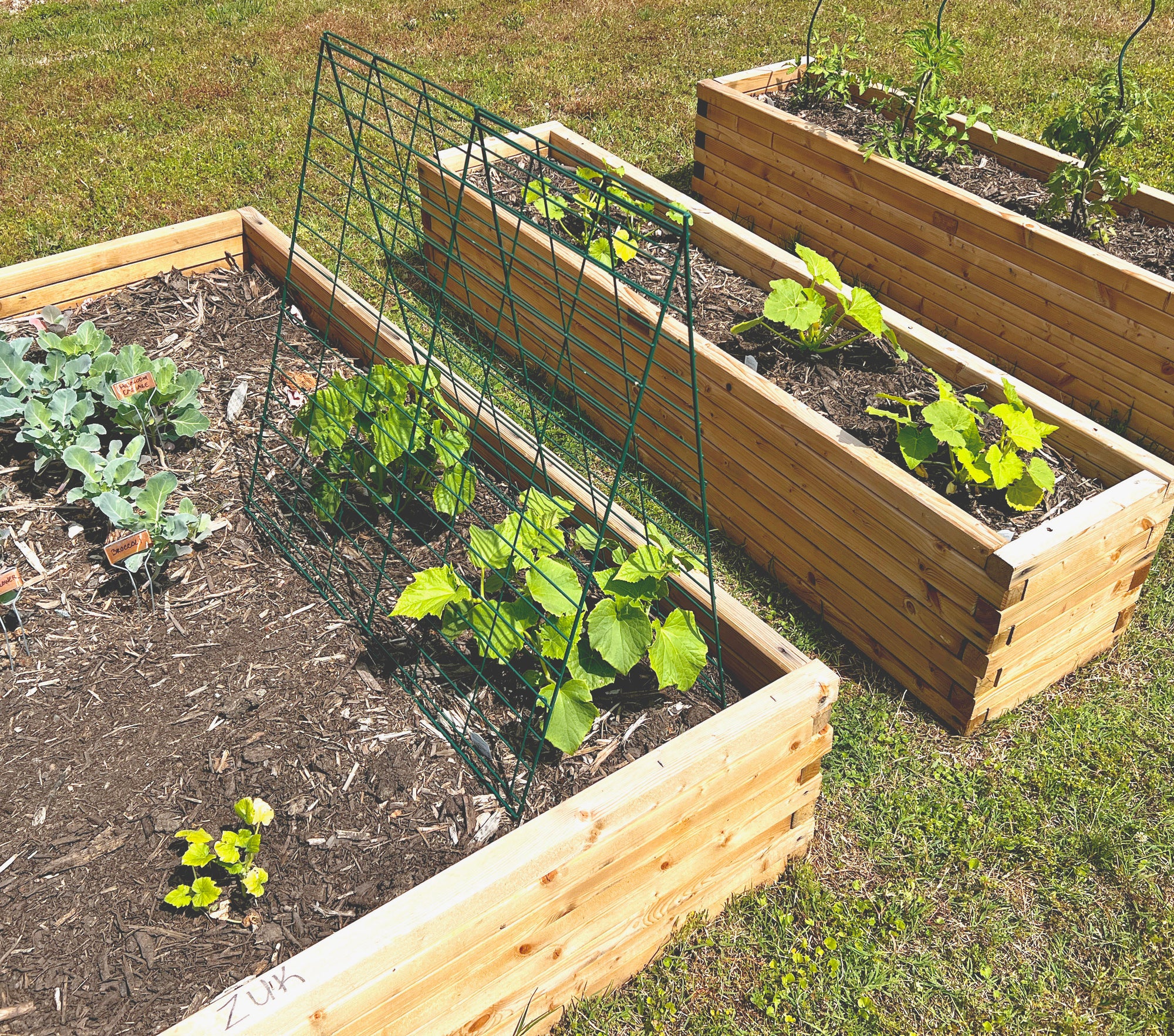 vegetable planter with trellis Veggie Trellis with 2 Panels