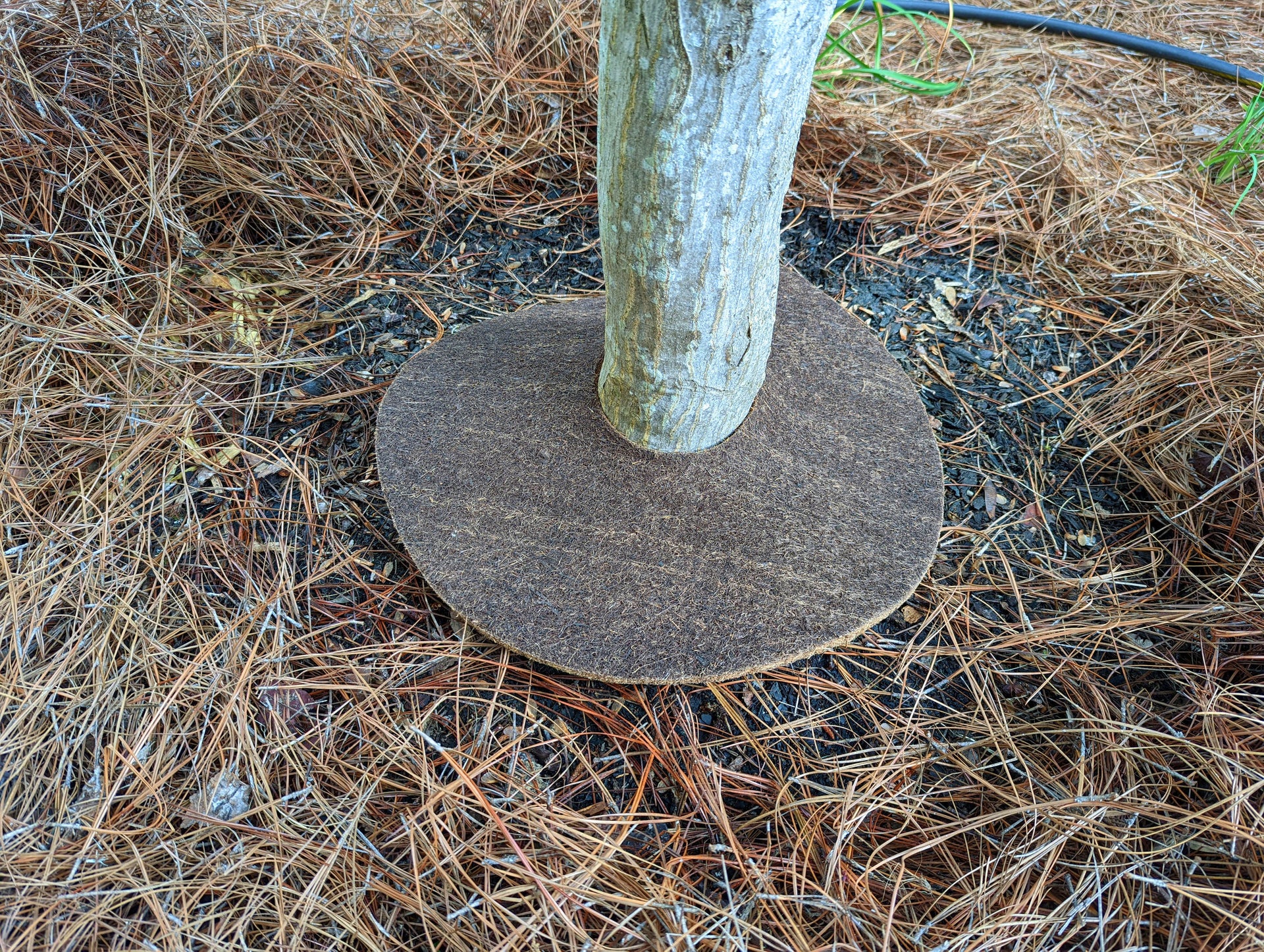 rubber tree ring mats Coco Fiber Tree Protector Rings – bosmereusa.com