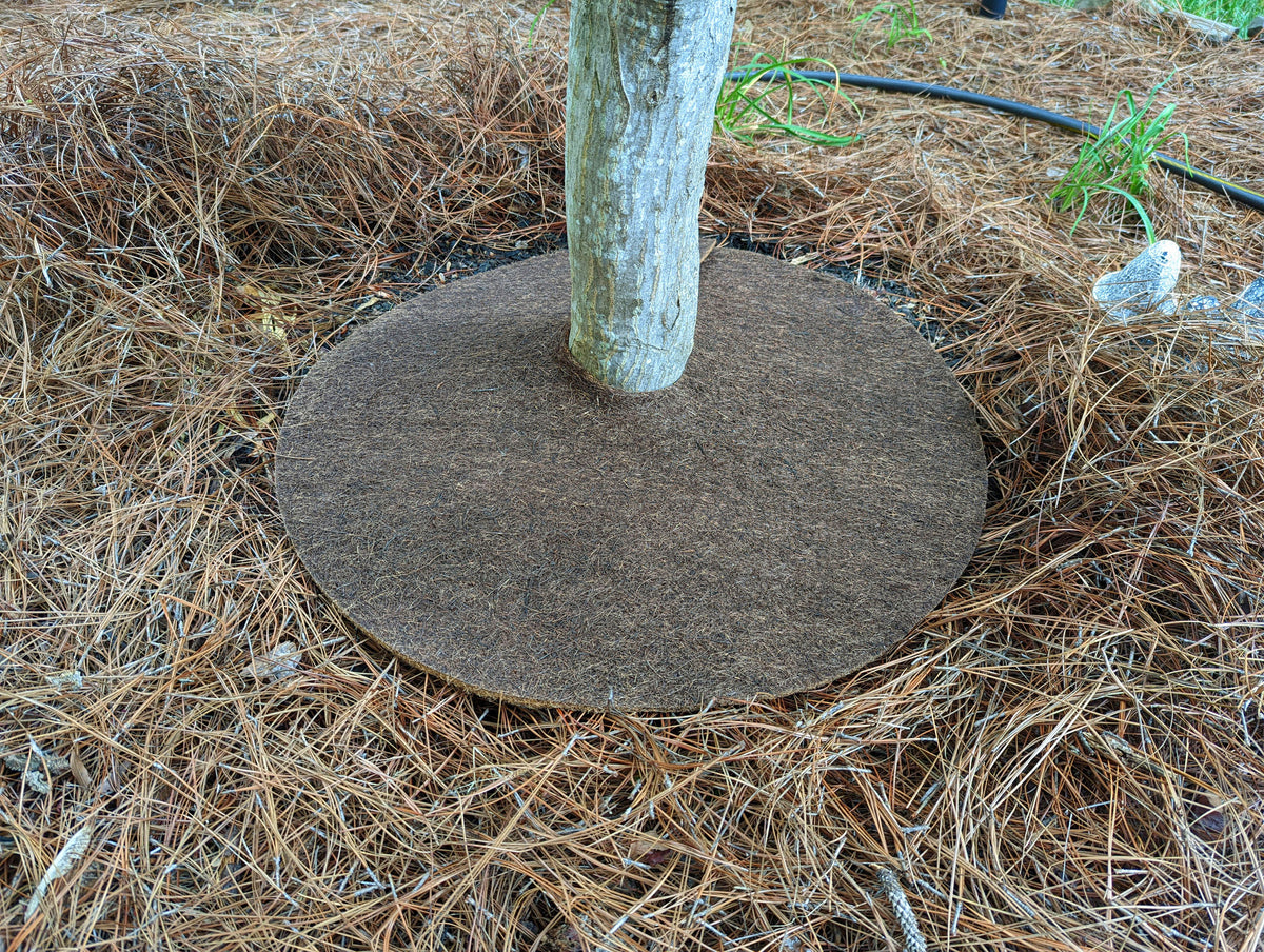 Tree Support Ring Cultivation Essentials – bosmereusa.com