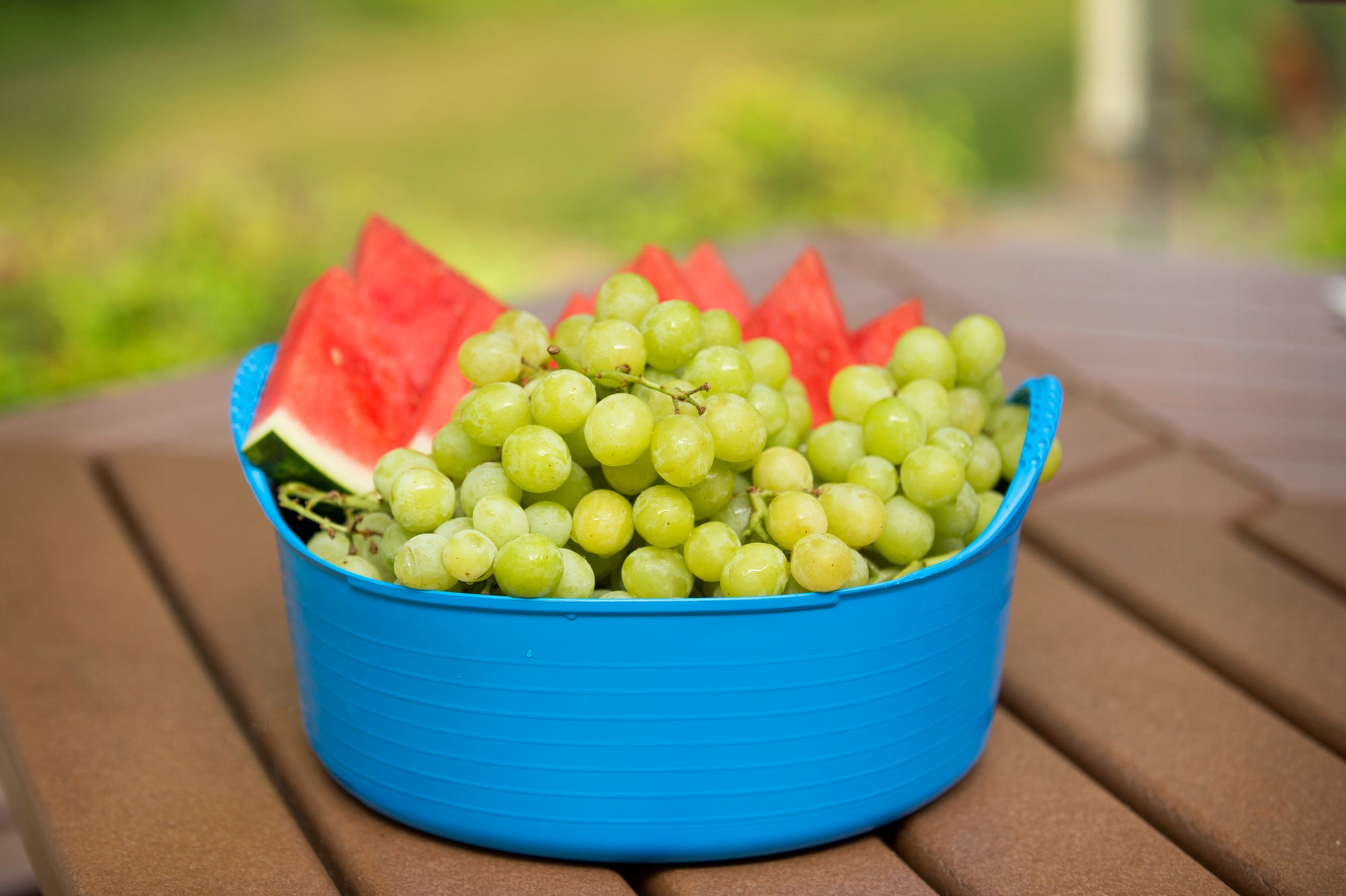 Gorilla Tub® Mini Shallow 5L Flexible Utility Tub