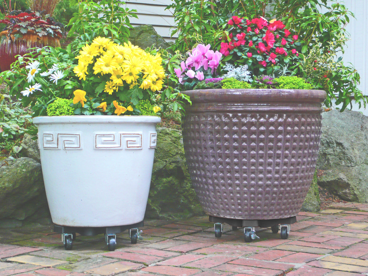 Bosmere 16" Down Under Plant Caddies | Heavy-Duty 500 lb Rolling Plant Stands