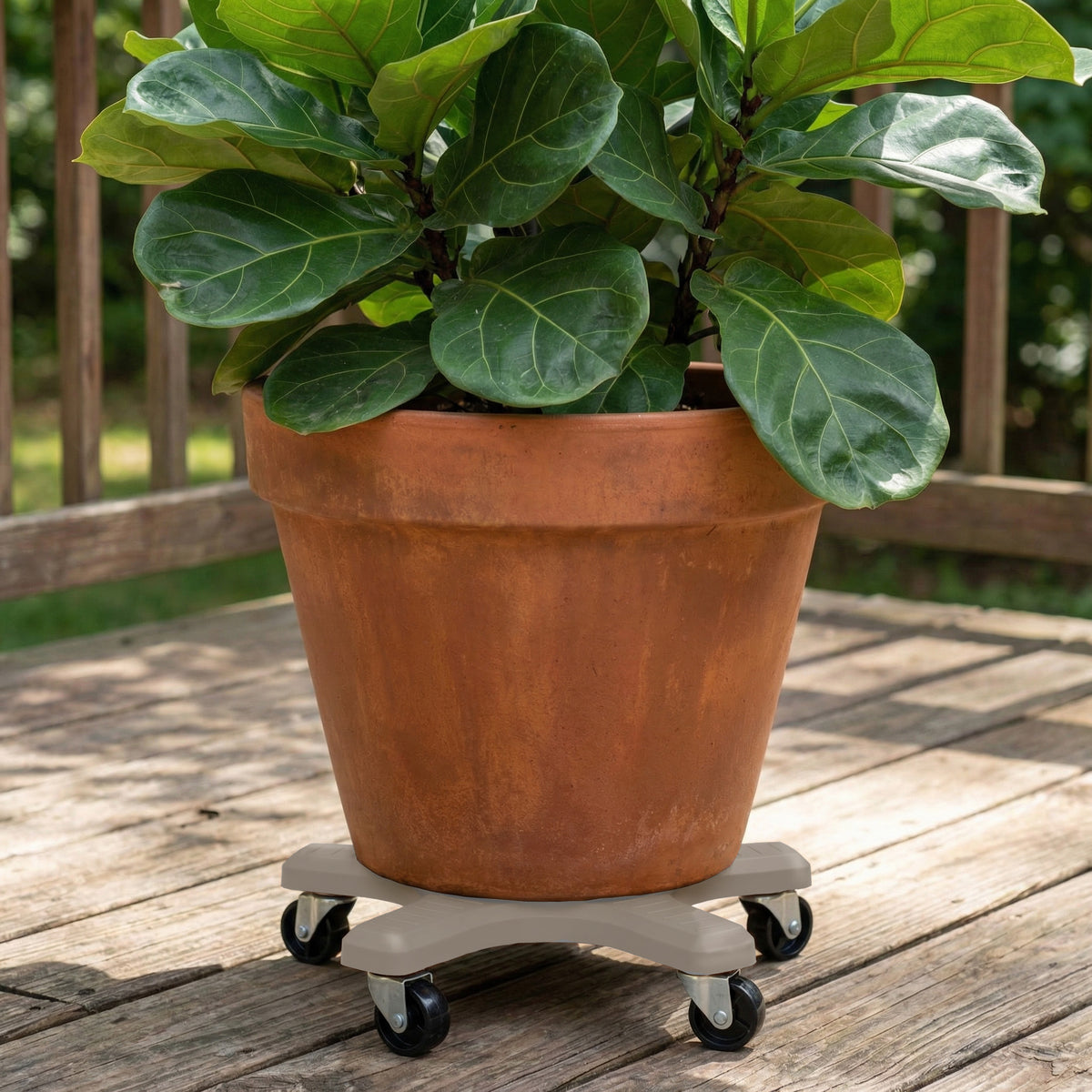 Bosmere 16" Down Under Plant Caddies | Heavy-Duty 500 lb Rolling Plant Stands