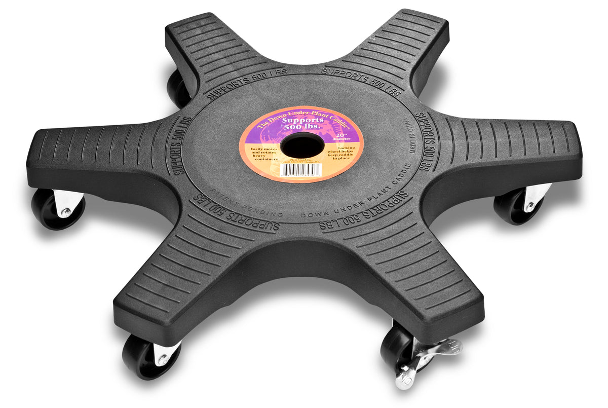 Bosmere 20" Down Under Plant Caddies | Heavy-Duty 500 lb Rolling Plant Stands