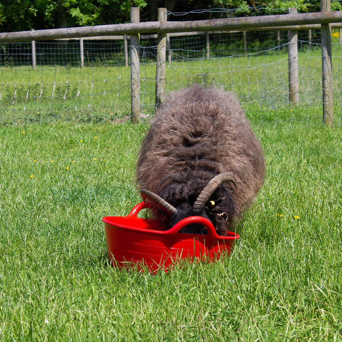 Gorilla Plas S2 Medium Feed Skip | Lightweight Food-Safe Feed Skip