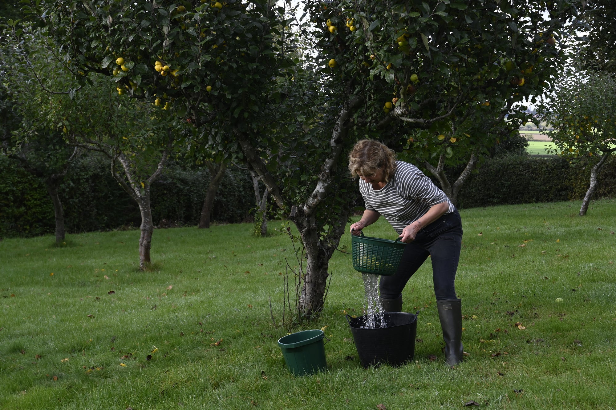 Red Gorilla Cesto Drainer | Food Grade Vegetable and Feed Washing Insert for 14L Gorilla Tub®