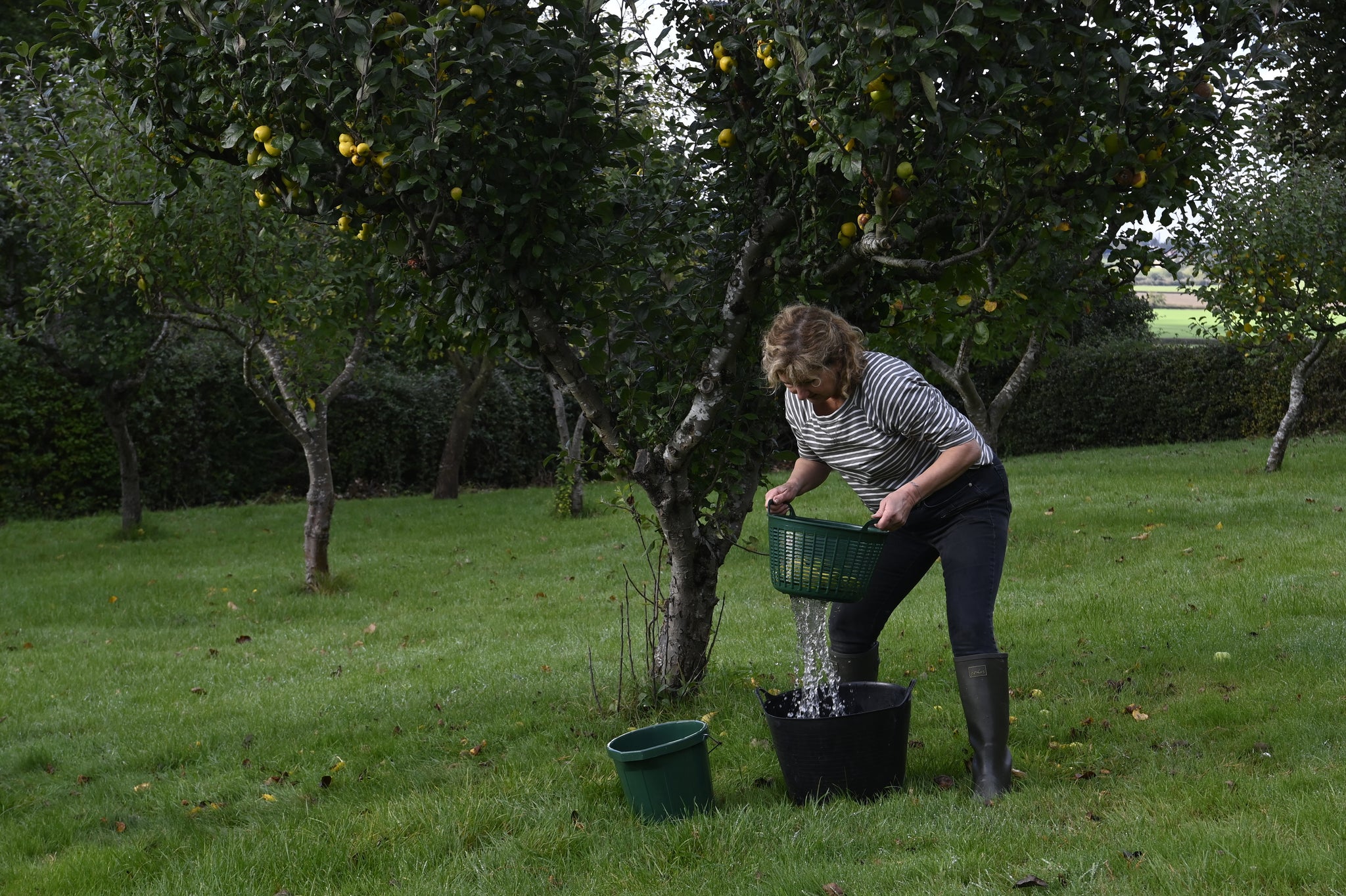 Red Gorilla Cesto Drainer | Food Grade Vegetable and Feed Washing Insert for 14L Gorilla Tub®