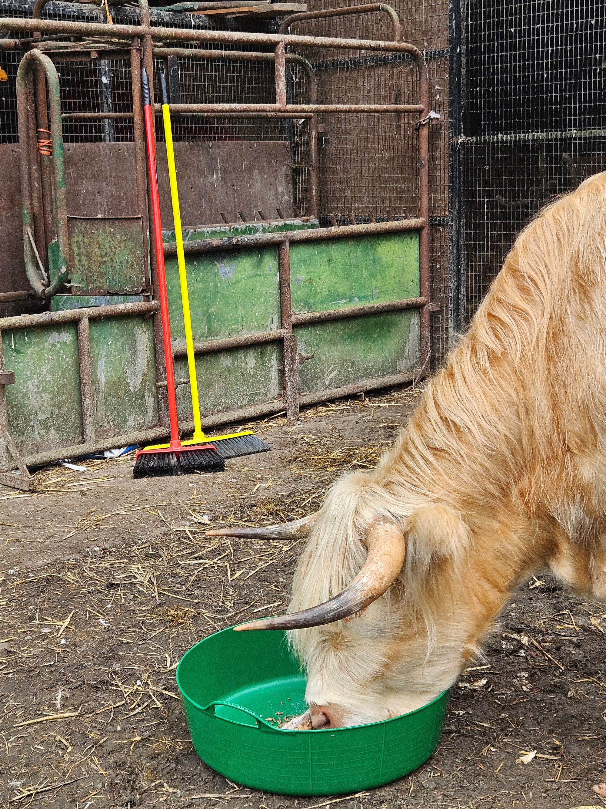 Gorilla Tub® Large Shallow 35L Flexible Utility Tub