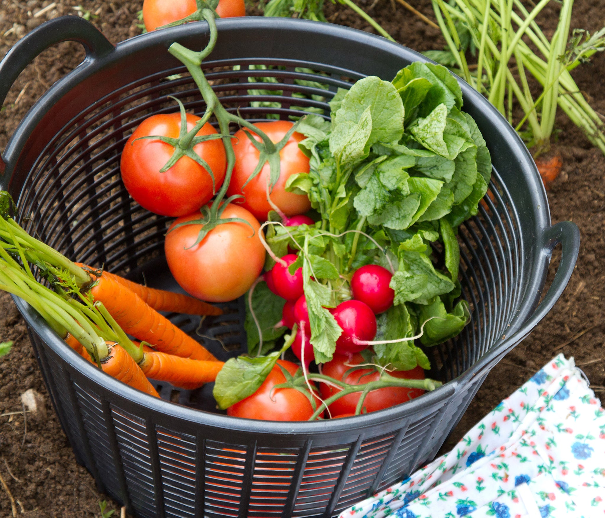 Red Gorilla Cesto Drainer | Food Grade Vegetable and Feed Washing Insert for 14L Gorilla Tub®