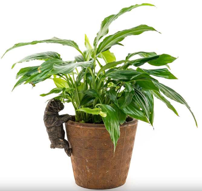 plant pot buddies Jardinopia Pot Hanger Pot Buddies