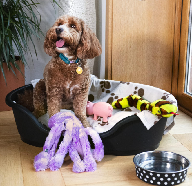 Petface - Plastic Waterproof Dog Bed