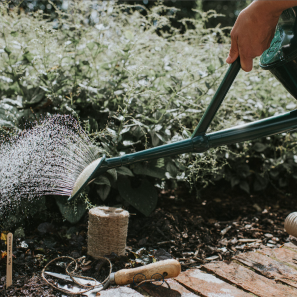 Haws Cradley Cascader (Deluxe), Green - 7 Liter / 1.8 Gallon