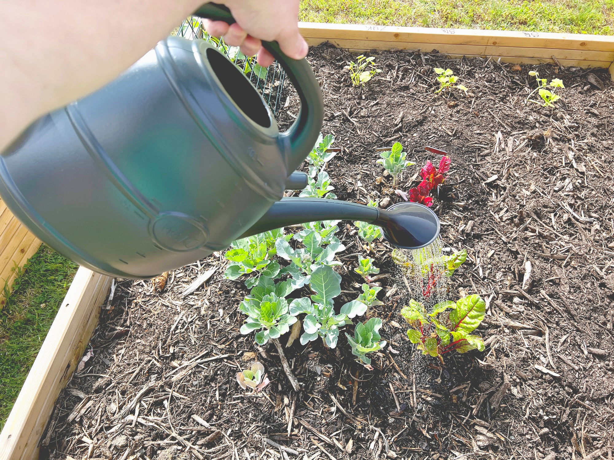 Strata 10L Watering Can