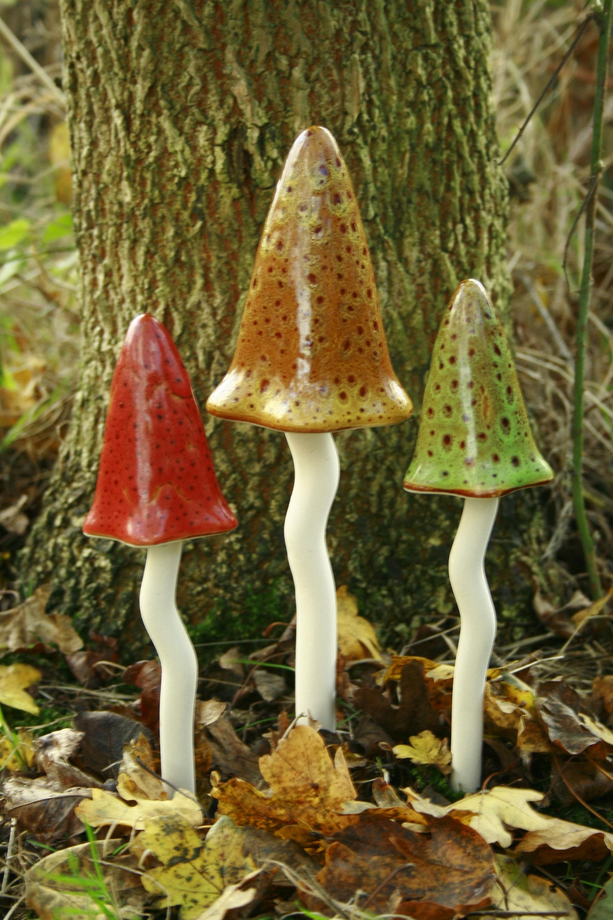 Tinkling Toadstools
