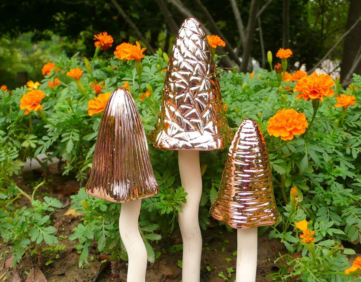 Copper Tinkling Toadstools