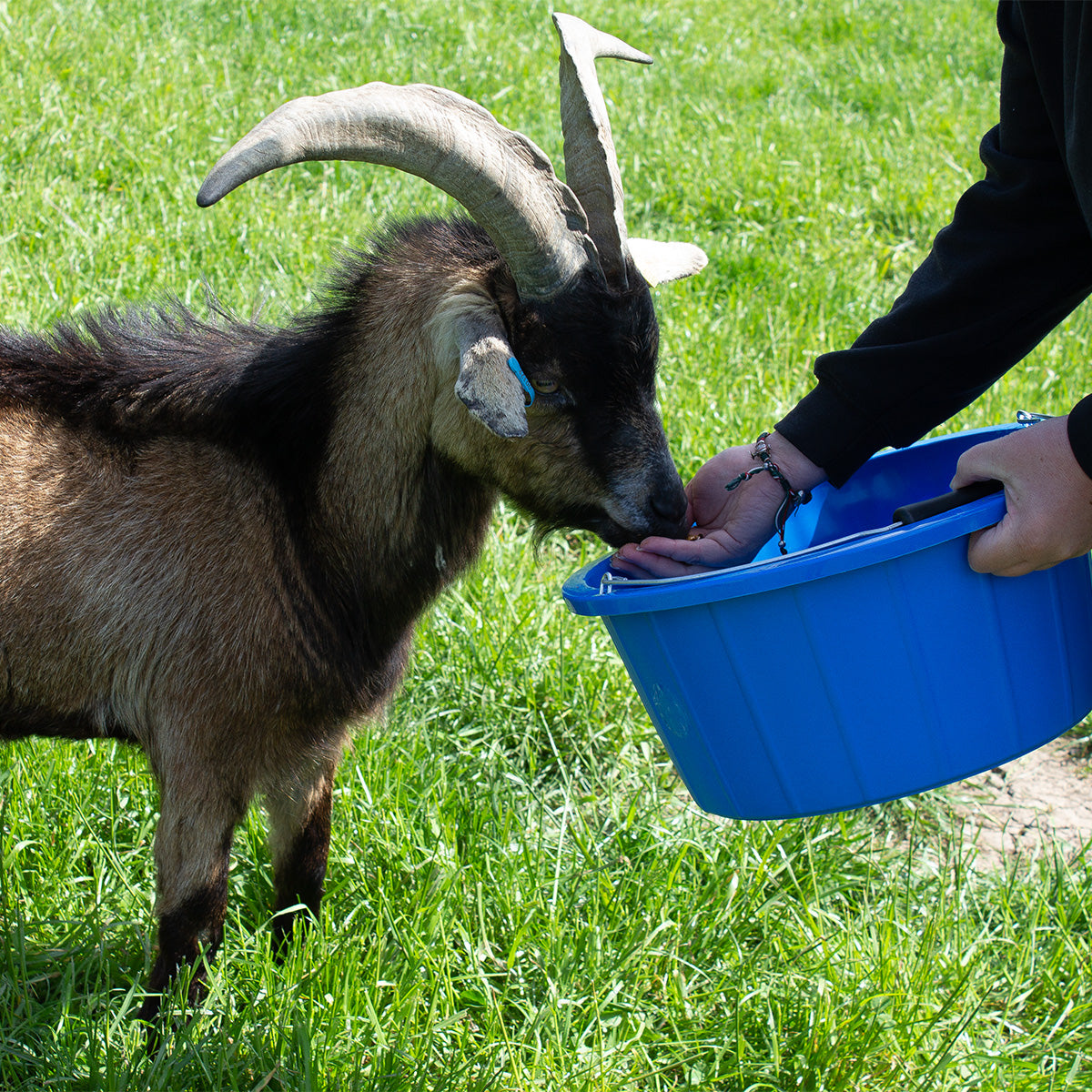 Gorilla Plas B4 Shallow Bucket | Lightweight Food-Safe Feed Bucket