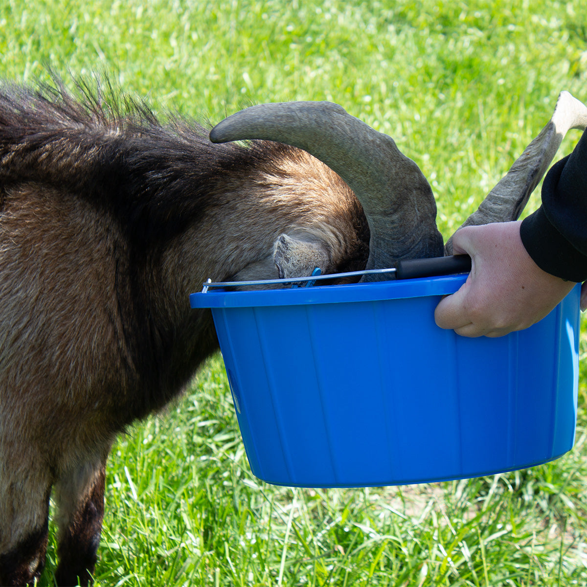 Gorilla Plas B4 Shallow Bucket | Lightweight Food-Safe Feed Bucket