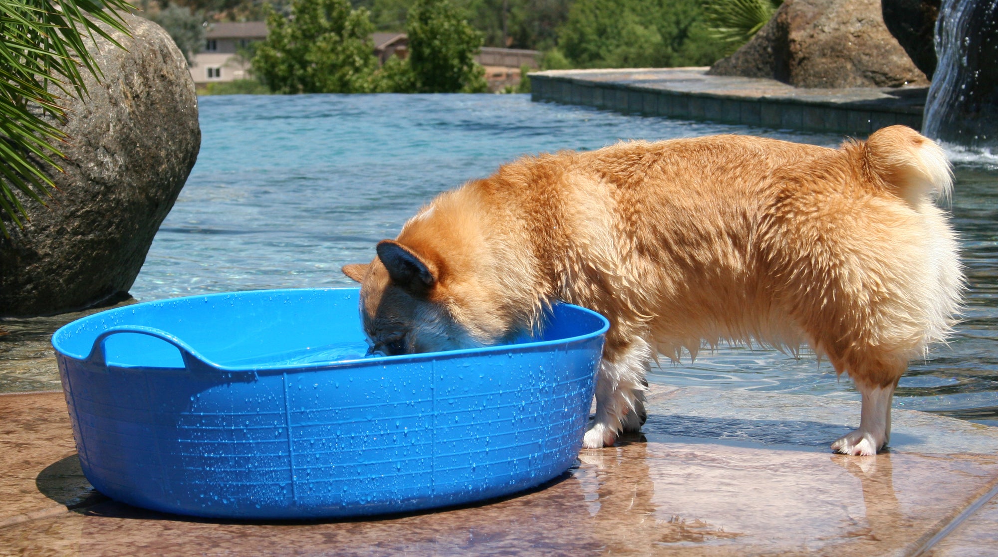 Gorilla Tub® Large Shallow 35L Flexible Utility Tub