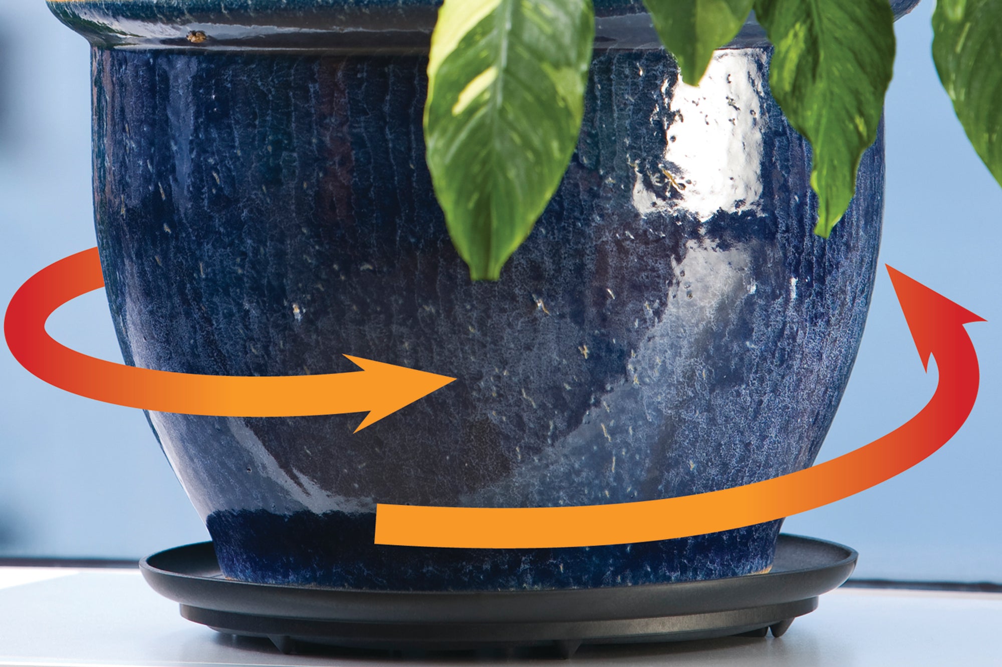 downsizing plant pot Down Under 12" Black Plant Turner – bosmereusa.com